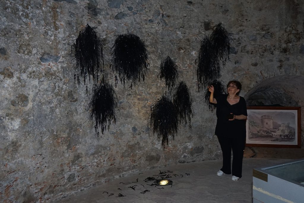 salice nero