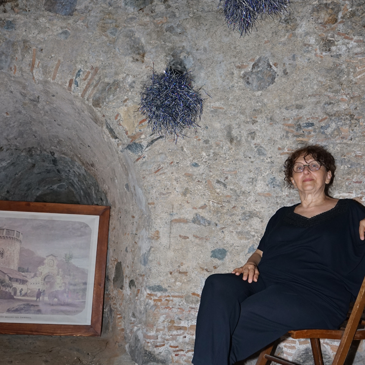 galleria smart
torre saracena
salice nero
